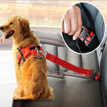 Load image into Gallery viewer, Copy of Seat Belt
