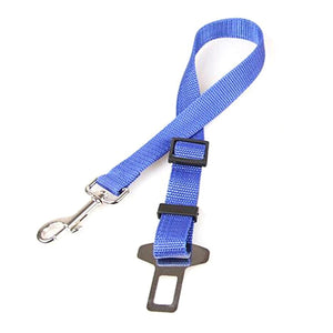 Copy of Seat Belt