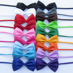 Load image into Gallery viewer, Special Bow Tie
