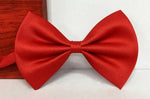 Load image into Gallery viewer, Special Bow Tie
