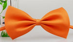 Load image into Gallery viewer, Special Bow Tie
