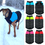 Load image into Gallery viewer, Watching Vest
