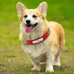 Load image into Gallery viewer, Leather Collar

