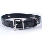 Load image into Gallery viewer, Rhinestone Collar
